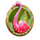 summer bling flamengo symbol icon