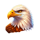 sun totem hold and win eagle symbol icon