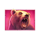 super 3 pot bison bear symbol icon