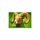 super ascent charge bison ram symbol icon