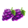 super charge the reels grape symbol icon