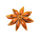 super hot flaming pots fabulous feasts flower symbol icon