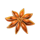 super hot flaming pots mr lee flower symbol icon