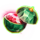 super stars usa melon symbol icon