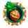 supreme ganesha pineapple symbol icon