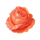 sushi fortune hold and win rose symbol icon