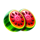sweet candy cash stash melon symbol icon
