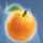 sweet n sour winter orange symbol icon