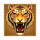 tada gaming 3 coin wild tiger tiger symbol icon