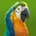 tales of dr dolittle parrot symbol icon
