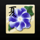 tanzakura blue flower symbol icon