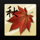 tanzakura maple leaf symbol icon
