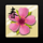 tanzakura pink flower symbol icon
