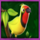 tarzan parrot symbol icon