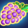 telly reels grapes symbol icon