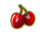 ten times wins cherries symbol icon