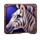 ten ton ways stampede zebra symbol icon