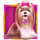 the big dog house dog 2 symbol icon