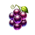 the biggest win x50 grapes symbol icon