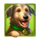 the blarney stone dog symbol icon