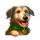 the blarney stone oranje jackpot dog symbol icon