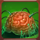 the castle of slotenstein brain symbol icon