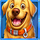 the dog house megaways oranje jackpot dog 1 symbol icon