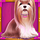 the dog house oranje jackpot dog 2 symbol icon