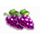 the king crimson crown grape symbol icon