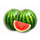 the king crimson crown melon symbol icon
