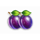 the king crimson crown plum symbol icon