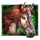 the knight king horse symbol icon