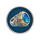 the vault chase ring symbol icon