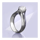 the wild chase ring symbol icon