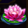 tiger gems flower symbol icon