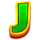 tiger of fortune j symbol icon