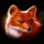 tiger stone fox symbol icon
