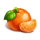 tiger ventura mandarine symbol icon
