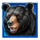tigers luck hold and win bear symbol icon
