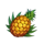 tikilicious pineapple symbol icon
