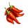 tiko spicy chef red chili symbol icon