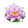 tiny toads lotus symbol icon