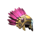 toltec totem treasures helmet symbol icon