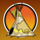 tomahawk tent symbol icon