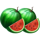 train of fortune watermelon symbol icon