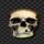 transylmania skull symbol icon