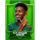 treble riches mugabe symbol icon