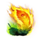 trial of phoenix fire symbol icon