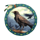 tribal spirits crow symbol icon