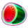 trinity cash coins running wins watermelon symbol icon